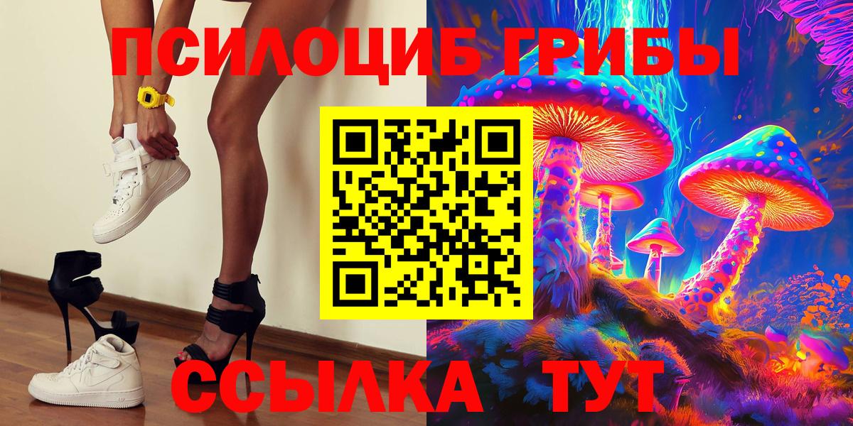 Новочебоксарск  Галлюциногенные грибы Magic Shrooms  где купить   Вход с VPN  Псилоцибиновые грибы Psilocybine cubensis 